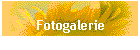 Fotogalerie